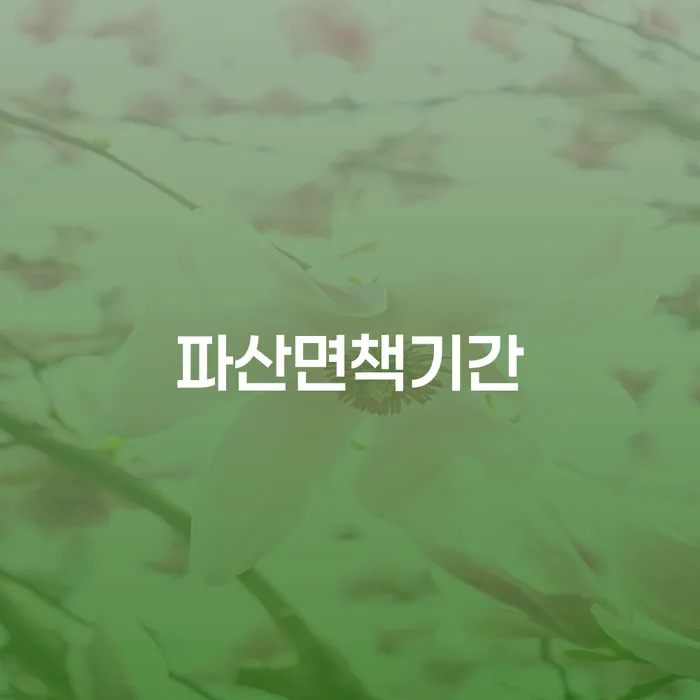 상속재산파산 개인회생으로 해결방법 있어도