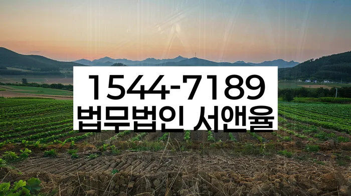 연체전개인회생