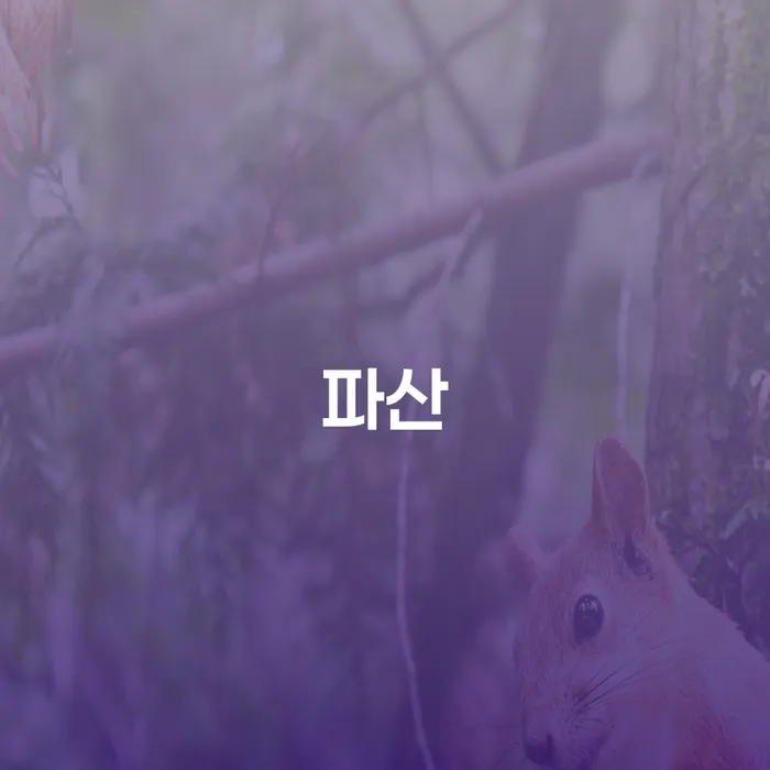 파산전문변호사 개인회생 문제해결방법 수임료가 얼마인지?