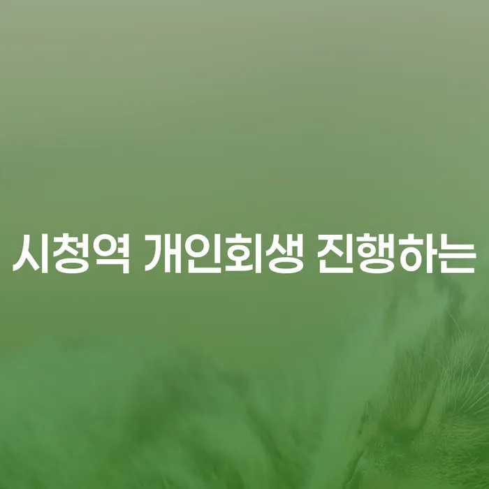시청역 개인회생 진행하는